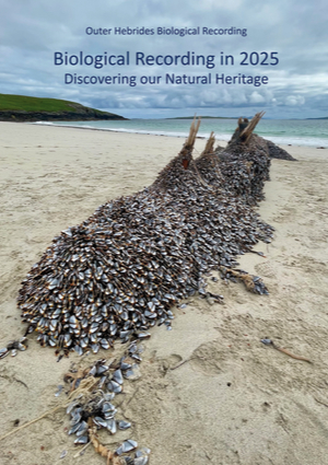 2025 OHBR biological recording report