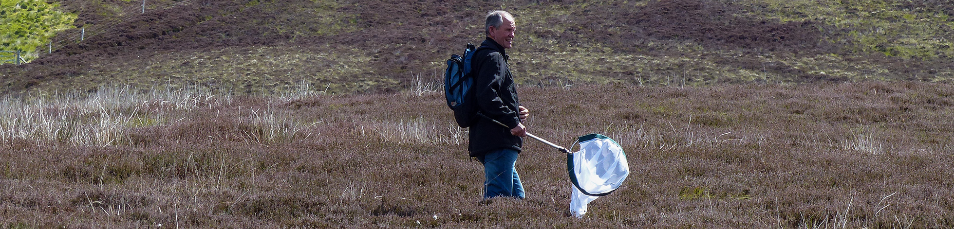 Biological recording fieldwork