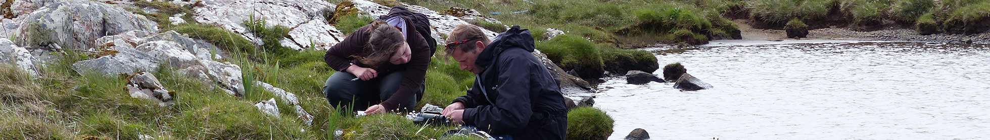 Biological recording working together